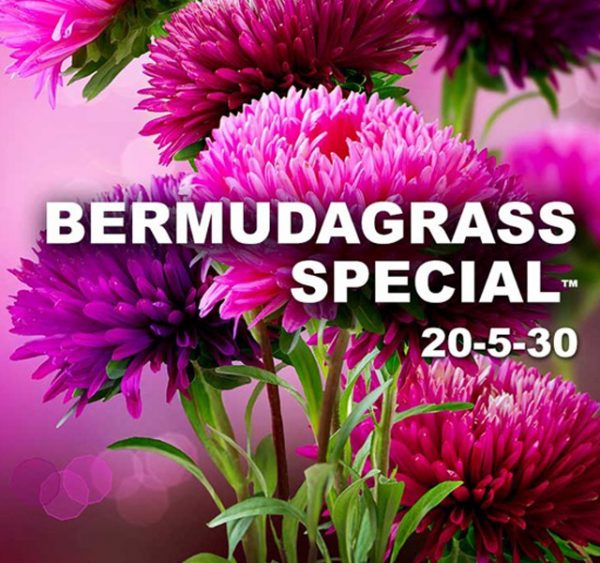 img-bermudagrass-sp img-bermudagrass-sp