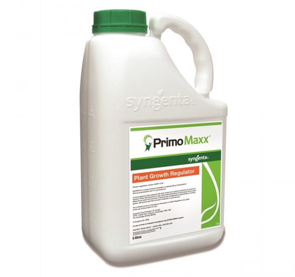 img-primomaxx img-primomaxx