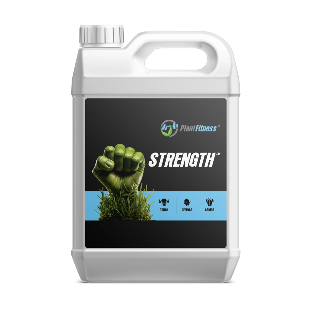 Strength-Front-Plant-Fitness Strength-Front-Plant-Fitness